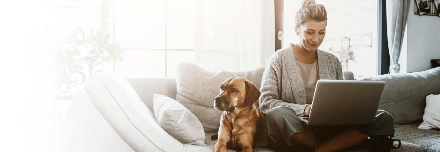 searching-for-home-loan-options